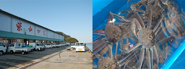 柴山漁港