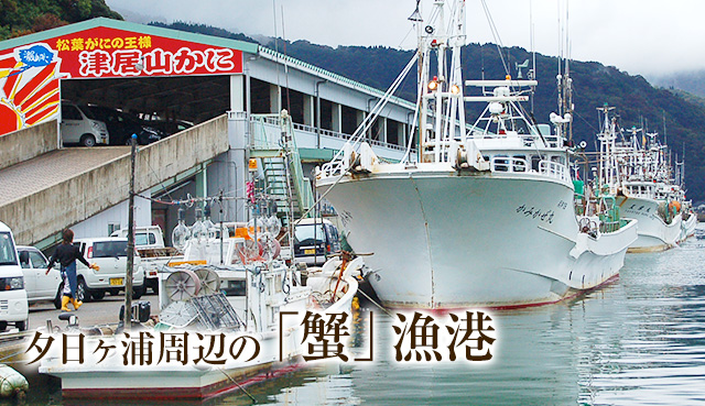 夕日ヶ浦周辺の「蟹」漁港